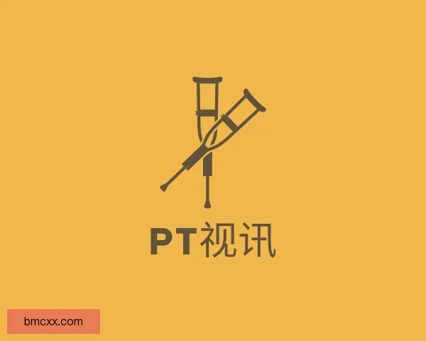 关于PT视讯